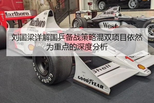 刘国梁详解国乒备战策略混双项目依然为重点的深度分析